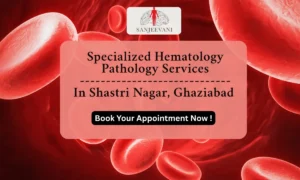 Hematology Pathology Services